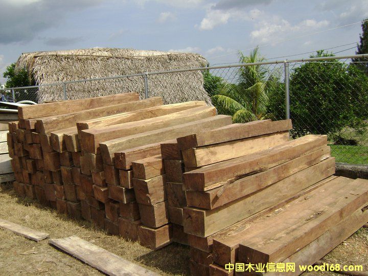 ����Ɲ�S̴